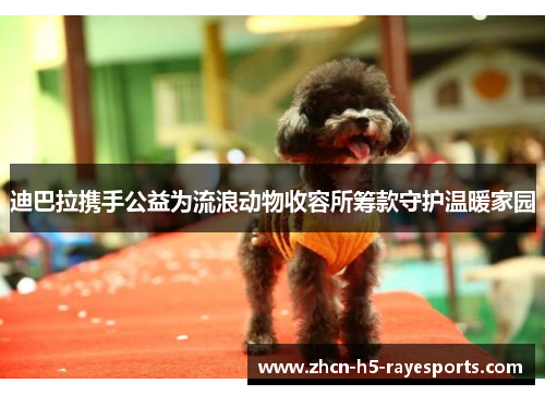 迪巴拉携手公益为流浪动物收容所筹款守护温暖家园 迪巴拉携手公益为流浪动物收容所筹款守护温暖家园