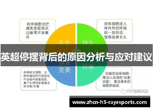 英超停摆背后的原因分析与应对建议 英超停摆背后的原因分析与应对建议